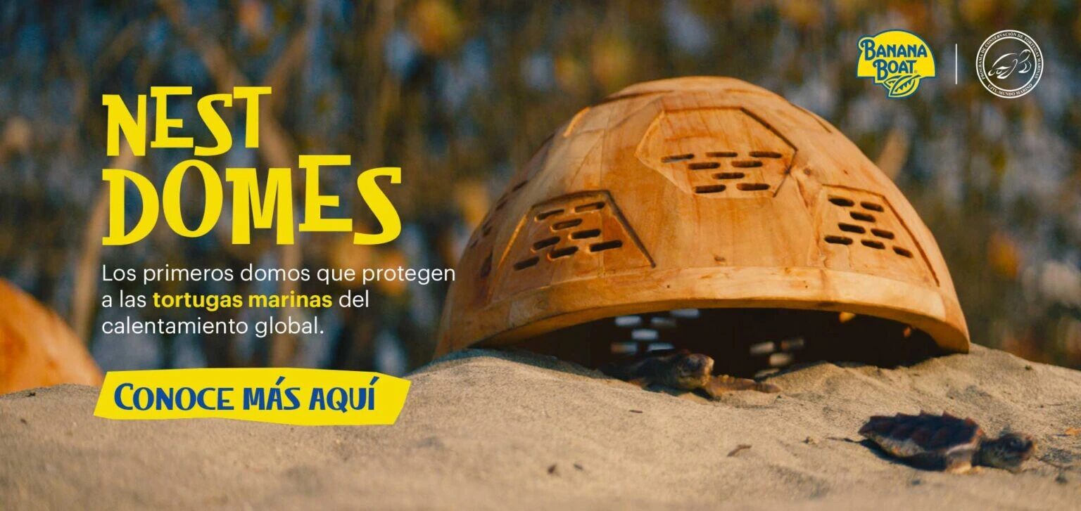 AF-BANNER-NEST-DOMES-DESKTOP